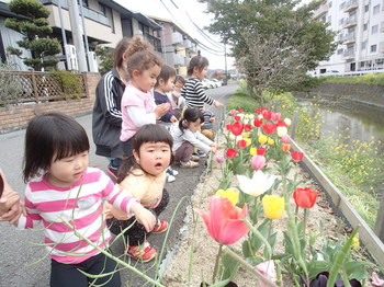 290407 散歩 (1).JPG